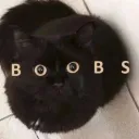derpykat._.