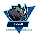 tcsvtcceobeluga3151