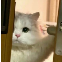 avatar Deleted_user_sw1x