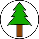 matsunoki_nti