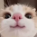 .deletedacc.