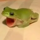 furious_frog