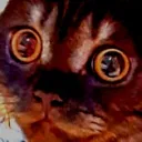 uka_.