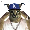 dodgevice
