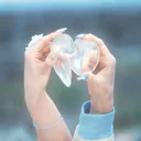 .kattmc