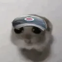 fgmoo