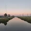 enta_albi