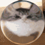 tmrx's Discord Avatar
