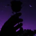 dawen8271 avatar