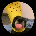 joel_3.0