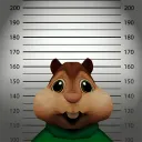 leezdasher