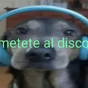 dianeitor3000