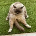 .nooze