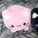 sunnykiu