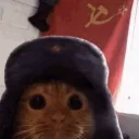 urbanpotato.