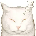 anglvicc avatar