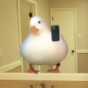 avatar ProbablyADuck