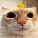 masterisabelle