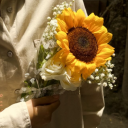 avatar hiromihigurumalover555