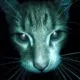 holyfucklois avatar