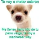 f3r_mendoza