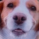 avatar-746100480148635780