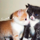 avatar 𝐠𝐚𝐛𝐢 ♡