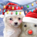 avatar 𝐠𝐚𝐛𝐢 ♡