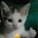 ricoricon avatar