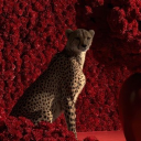 avatar zsazzzz ~ INACTIVE