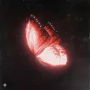 erin_3mk