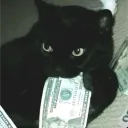 fizzogt