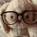 cai's avatar
