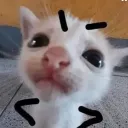jubbles_