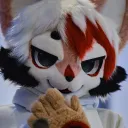 kitevr