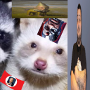 avatar lily ݁ ˖Ი𐑼⋆