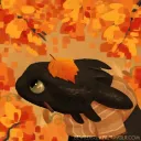 gryffinshit