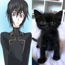 avatar эверготuк