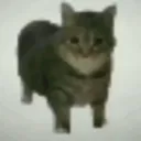 soymax27