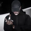 fg3313