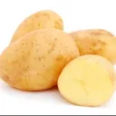 papa_gamer