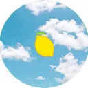 lemonhoney6112