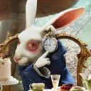 rabbit_szn