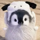 iampenguinx