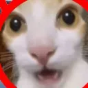 sh00ter_b0t
