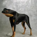 esquader