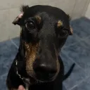 k1baaa_
