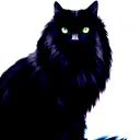 majikcat