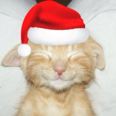 avatar 𝙻𝚒𝚊 👻