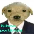 Milo123dieg avatar